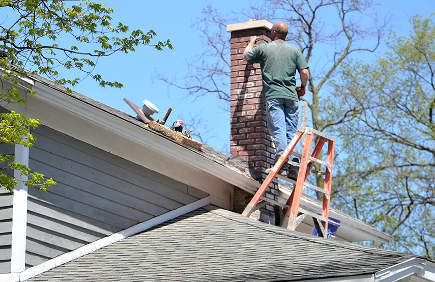 Chimney & Fireplace Inspections Services in Clinton, MS